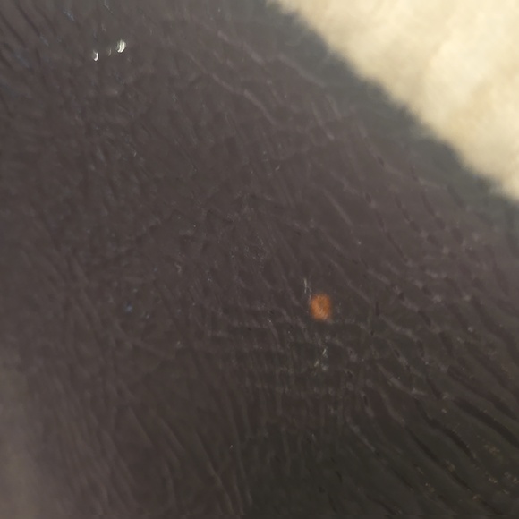 Prada Tote - Picture 11 of 11